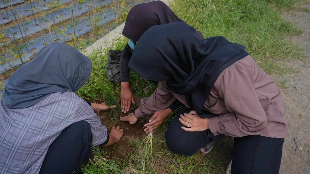 Gambar Berita